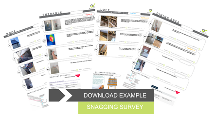 Download example Snagging Survey